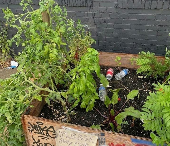 The planter on the street with plastic bottles and trash among the plants.